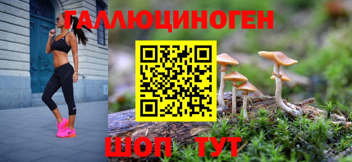 Псилоцибиновые грибы MAGIC MUSHROOMS Торжок